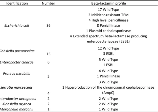 Table 2: List of the different bacterial species in the study with their resistance profiles to beta-beta-285 