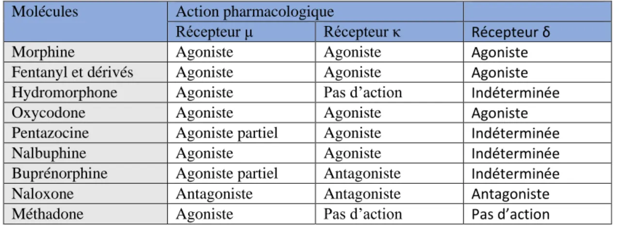 Tableau 2: Profils pharmacologiques des principaux opioïdes 