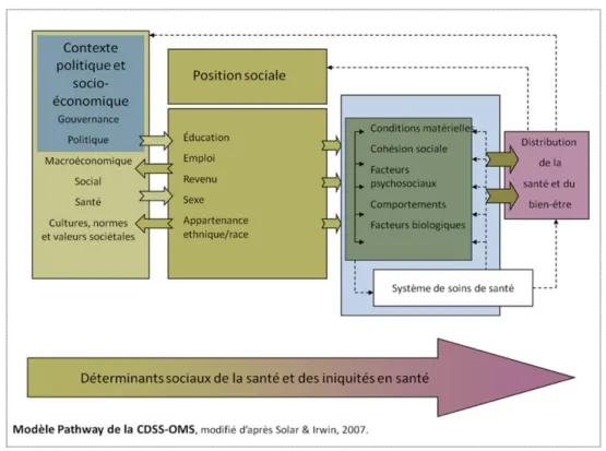 Figure 4 : Modèle de PATHWAY de la CDSS-OMS, modifie d’après Solar et  Irwin (2007) 