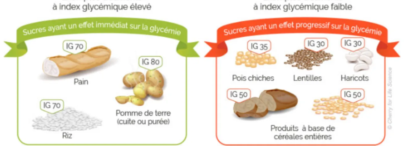 Figure 12 : Indice glycémique des aliments (9)