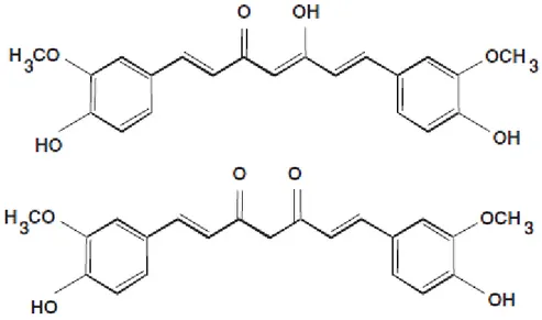 Figure 1 : Structures chimiques de la curcumine (enol et ceto)  