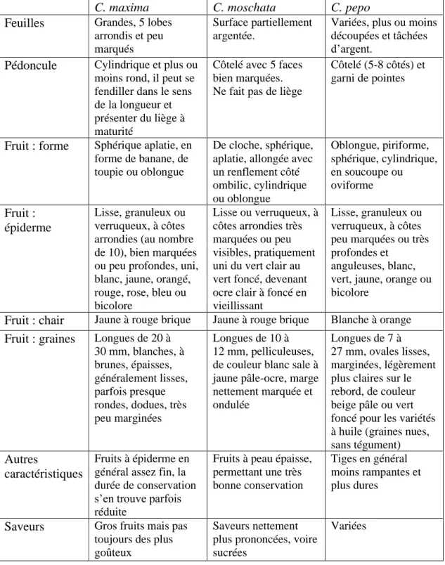 Tableau 1 : Principales différences entre les Cucurbita (Musset &amp; Grange, 2000 ; Henriet, 2018) 