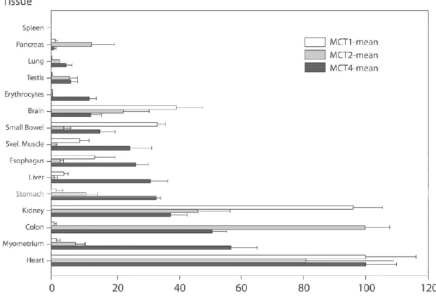 Figure 5 : Répartition des MCT1, MCT2 et MCT4 au sein de 15 tissus humains. Le contenu  en MCT par mg de protéines était moyenné sur plusieurs mesures pour chaque tissu