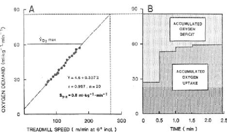 Figure 7 : Principe de détermination du déficit d’oxygène. A : relation entre l’intensité de  l’exercice et la demande en oxygène