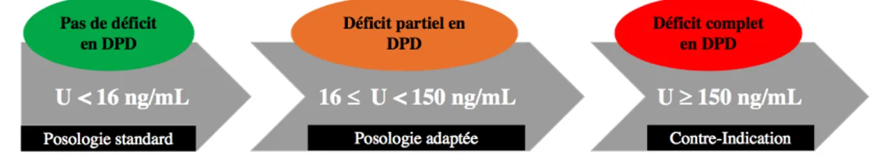 Figure 8 : Adaptation de posologie en fonction de l’uracilémie selon les recommandations de  décembre 2018 de l’HAS et l’INCa 