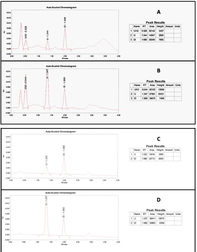 Figure 9 : Chromatogrammes de deux points de gamme à 210 et 265 nm extraits à partir du  protocole L/L sur la colonne H (A : U = UH2 = 50 ng/mL, EI = 200 ng/mL, l = 210 nm ; B :  U = UH2 = 500 ng/mL, EI = 200 ng/mL, l = 210 nm ; C : U = UH2 = 50 ng/mL, EI 