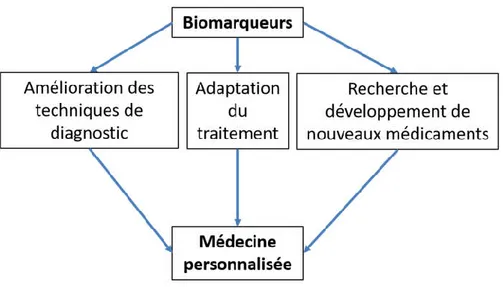 Figure 10 : Rôle des biomarqueurs dans la médecine personnalisée (inspiré de [42])  d