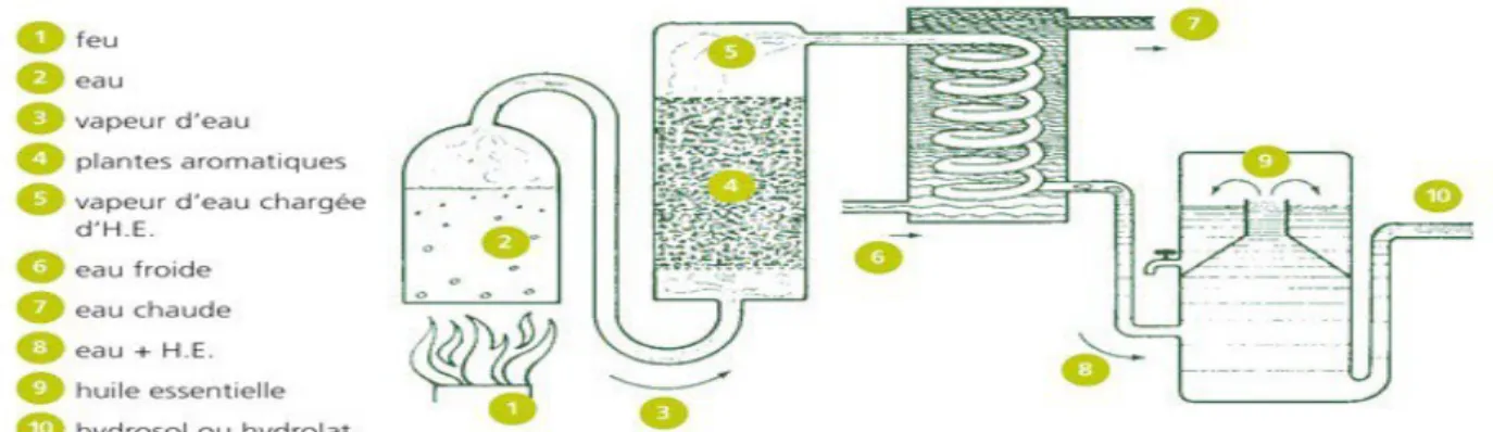 Illustration 1: Schéma de l’entraînement à la vapeur d'eau