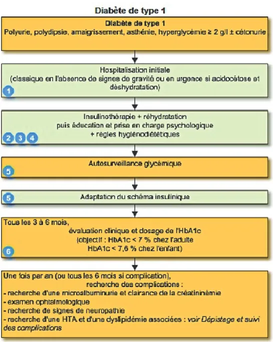Figure 2 : Résumé des étapes de prise en charge d'un patient diabétique de type  1. D'après (11)