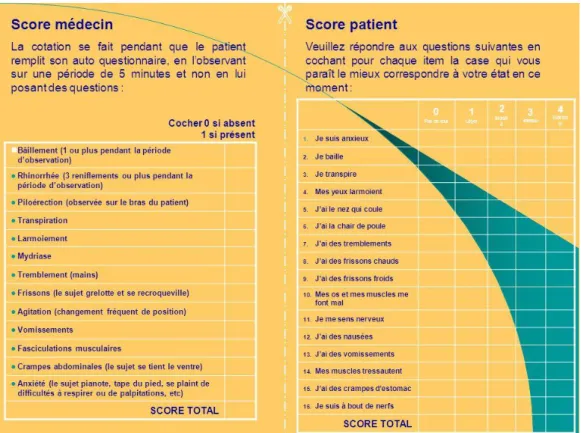 Figure 5 : Score de Handelsman médecin / patient 