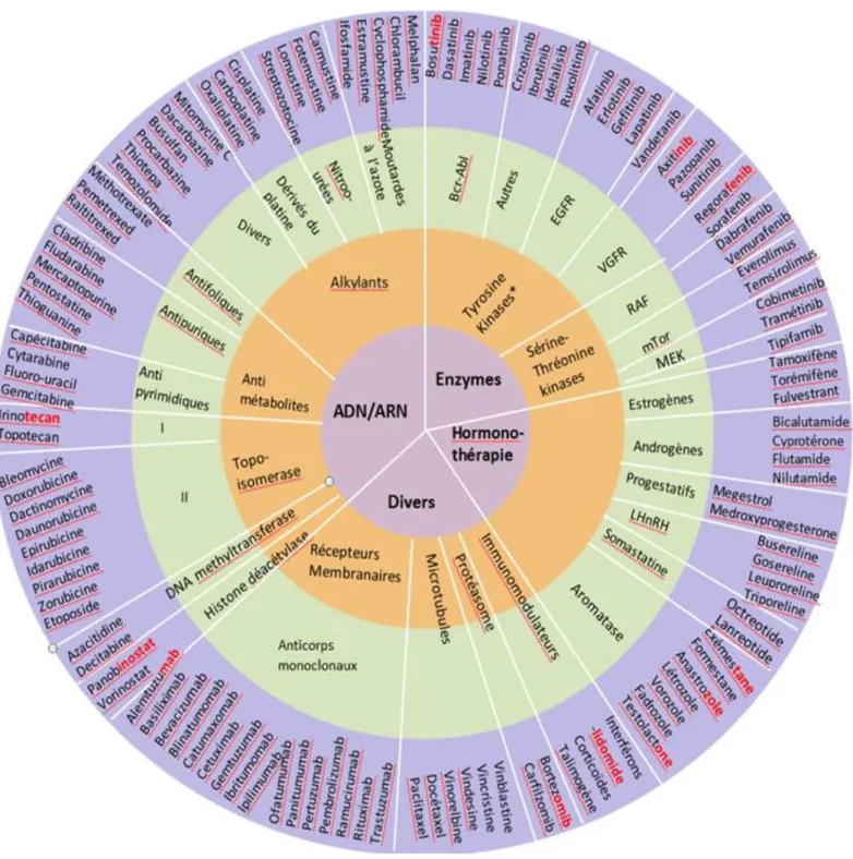 Figure 2 : Les différents anticancéreux et leur mécanisme d’action (16)  Lien utile ++        http://oncolien.sfpo.com