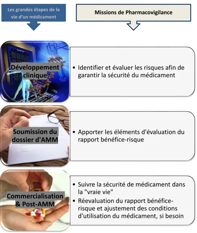 Figure 1 : La place de la Pharmacovigilance dans la vie d’un médicament 