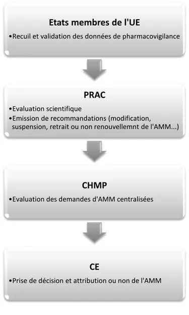 Figure 2 : Le processus décisionnel dans le cas d’AMM centralisée 