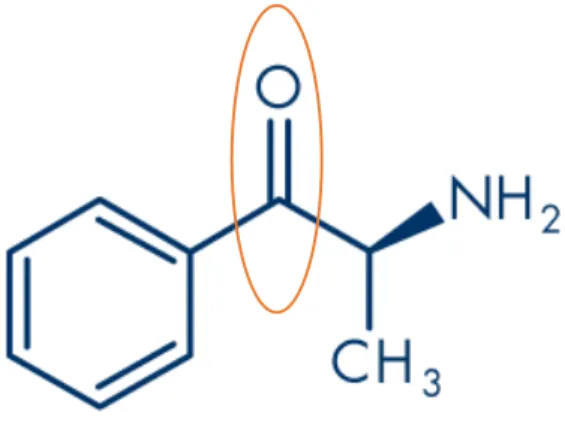 Figure 6 : Formule Chimique de la cathinone                     Figure 7 : Formule chimique de l'amphétamine 