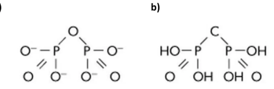 Figure 12: Base moléculaire des BPs :  a) Structure chimique du PPi et sa liaison caractéristique   P-O-P en  comparaison avec la structure chimique P-C-P b)