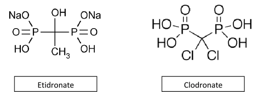 Figure 14: Structures chimiques des premiers BPs synthétisés :  A fonction halogénique pour le  clodronate ou à fonction alcool et méthyl pour l’etidronate.
