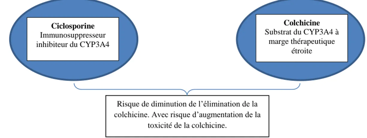 Figure 13 : Exemple d’IAM impliquant une inhibition enzymatique avec effet délétère (27) 