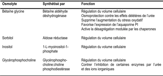 Tableau 4 : Les principaux osmolytes 