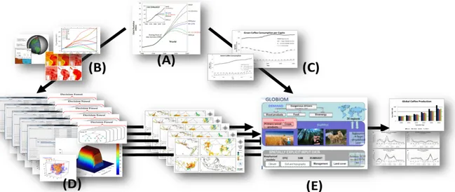 Figura 2. Cadena de modelación integrada: (A) escenarios de emisiones de origen humano con supuestos  sobre crecimiento de población y economía; (B) modelos del clima global proyectan cambios del clima,  accionados por los escenarios de emisiones; (C) camb