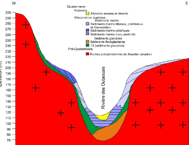 Figure 1.1:  Modèle stratigraphique conceptuel de la rivière des Outaouais (tiré de Comeau et al., 2011)