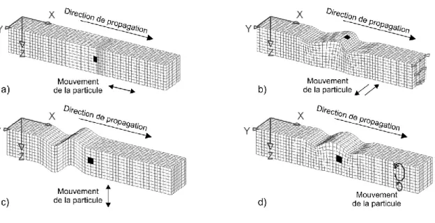 Figure 2.1:  Modes de propagation sismique: a) des ondes de compression P, b) des ondes de Love, c) des ondes de cisaillement S  et d) des ondes de Rayleigh
