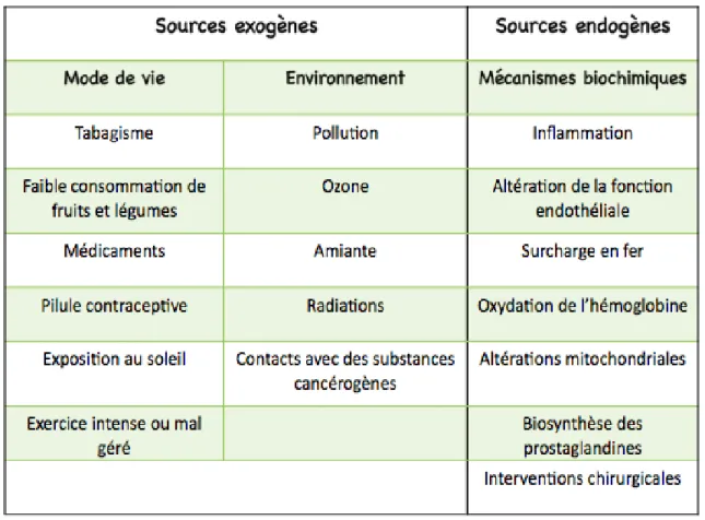 Tableau II : Liste non exhaustive des sources de radicaux libres 