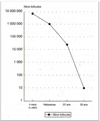 Figure 2 : évolution du capital folliculaire (5) 