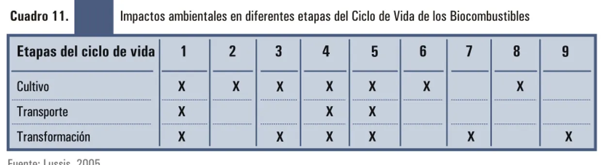 Cuadro 11.                Impactos ambientales en diferentes etapas del Ciclo de Vida de los Biocombustibles