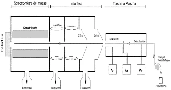 Figure 2 - Schéma de principe de l'ICP/MS 