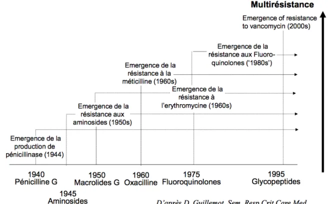 Figure 1 : Émergence des résistances du S. aureus selon Guillemot. (28) 