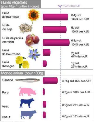 Figure 19: Oméga 6: Sources alimentaires et quantités associées 