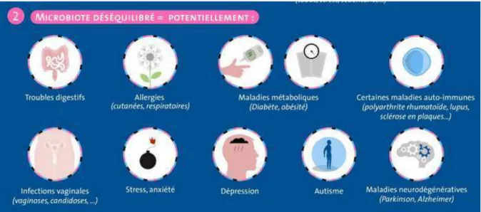 Figure 24: Conséquence d'une dysbiose  34