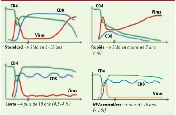 Figure 7 - Différents types d’évolution de la maladie VIH  D’après Martinez et al. 2008 41