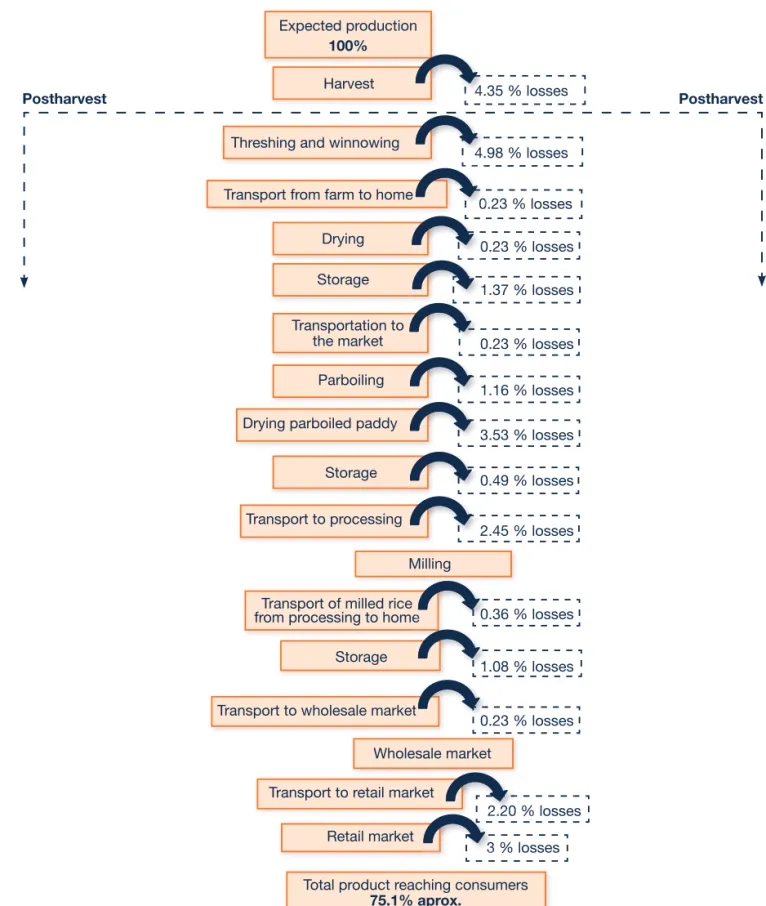 Figure 3.1B.   Steps in the rice postharvest system (Oryza sativa) and percent losses at each   step in Nigeria