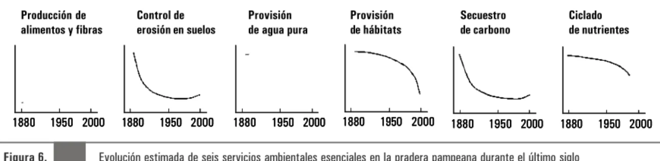 Figura 6.               Evolución estimada de seis servicios ambientales esenciales en la pradera pampeana durante el último siglo