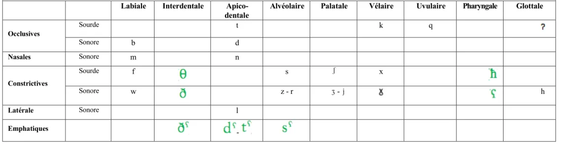 Tableau 2  :  Système  phonologique  des  consonnes  arabes. Tableau  réalisé  d’après  les  travaux  d’André  Roman