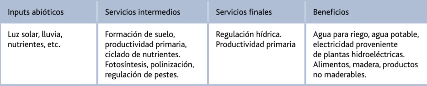 Tabla 4. Ejemplo ilustrativo de las relaciones entre algunos servicios intermedios, finales y  beneficios