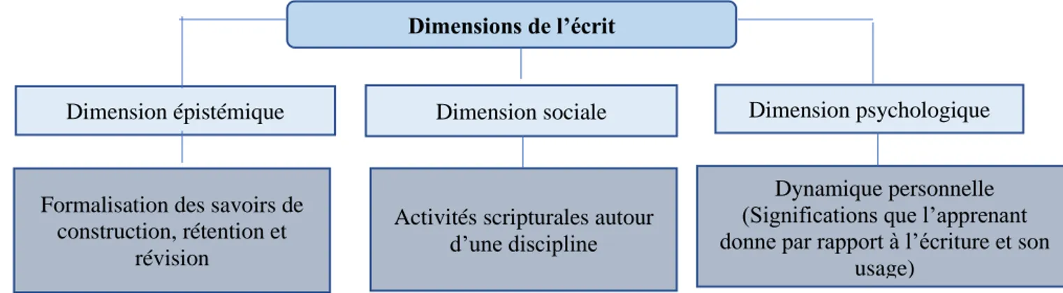 Figure 1. Dimensions de l’écrit. Adaptation Guernier et Barré-De-Miniac (2009, p. 43)