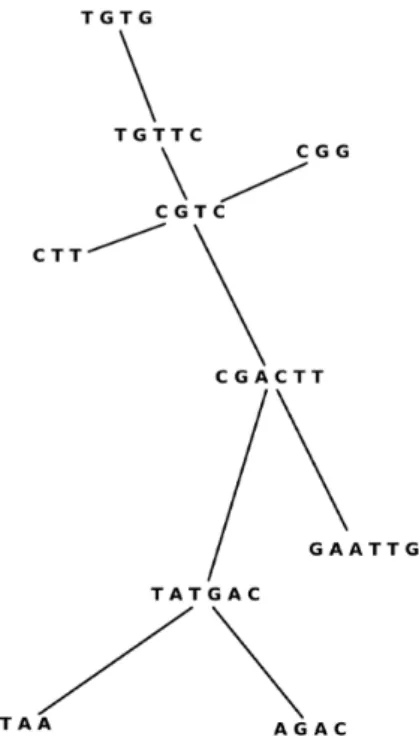 Figure 3. Sonagramme de chant de Rougequeue.