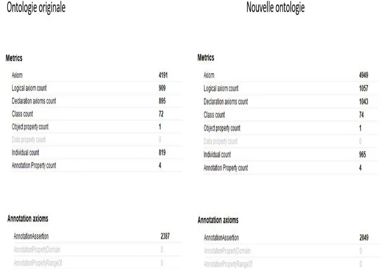 Tableau 1 : Nombre d’éléments ajoutés à l’ontologie 