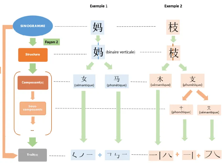 Figure 7 : Décomposition des sinogrammes