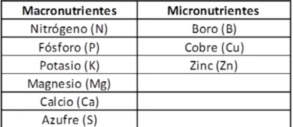 Tabla 9. Principales macronutrientes y micronutrientes requeridos por el cacao