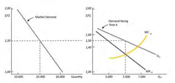 Figure 1.11. Pricing in a monopoly