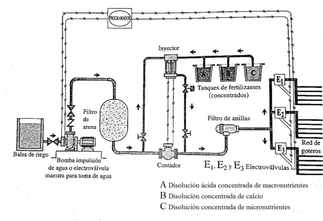 Ilustración 10. Esquema del proceso de fertirrigación (Cadahía, 2005).