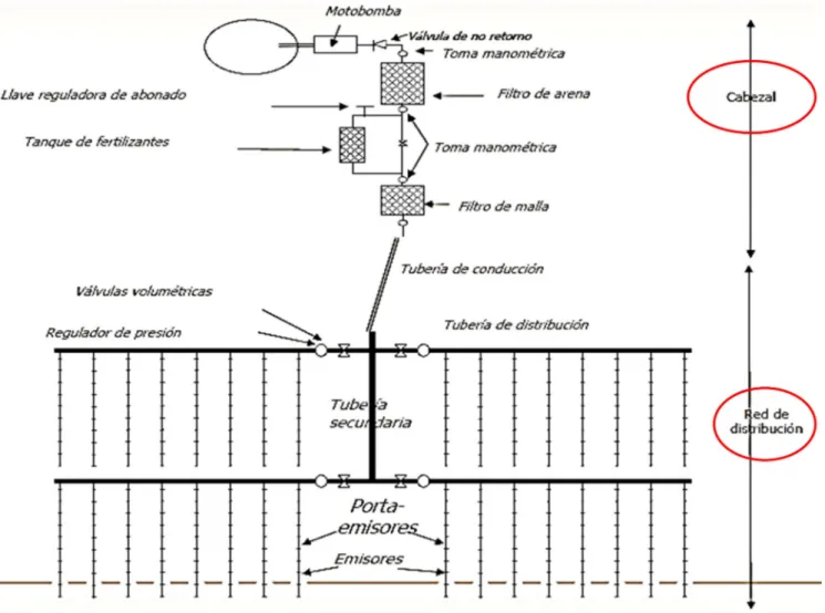 Ilustración 1. Componentes del sistema de fertirrigación.