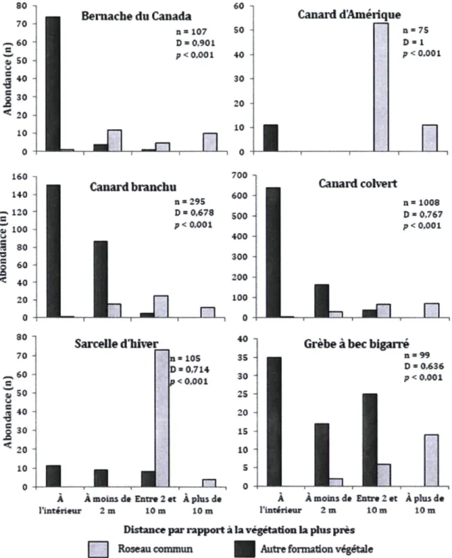 Figure 3.1 Nombre d'individus de cinq espèces d'anatidés et d'une espèce de podicipédidés observées en  alimentation par rapport au type de végétation le plus près (roselière ou formation végétale dominée par les  quenouilles, le Butome à ombelles, le Sagi