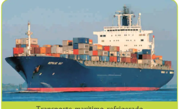 Cuadro 7: Características de los contenedores marítimos