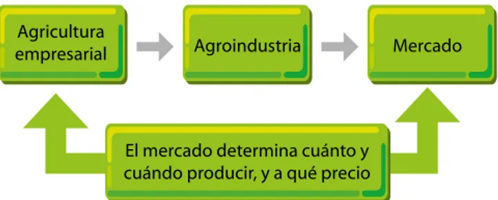 Figura 6. Integración de la actividad agroindustrial  orientada al mercado.
