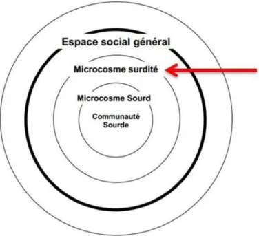 Figure 1 : Schéma des cercles des représentations sociales de la LSF de Millet (2003, p.3) 