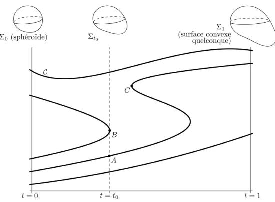 Fig. 2 – Courbe analytique C représentant les géodésiques fermées sans point double sur les surfaces de la famille Σ t .